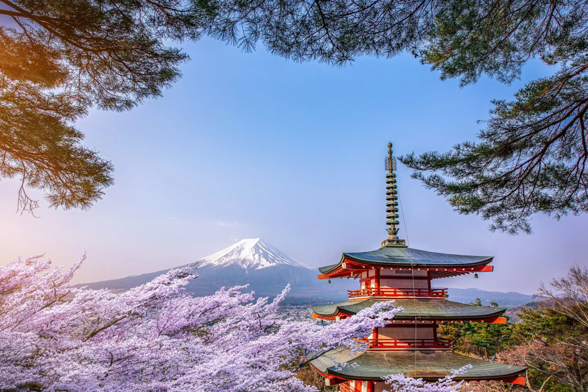 大阪四日紅葉季